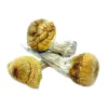 Cambodian Mushrooms